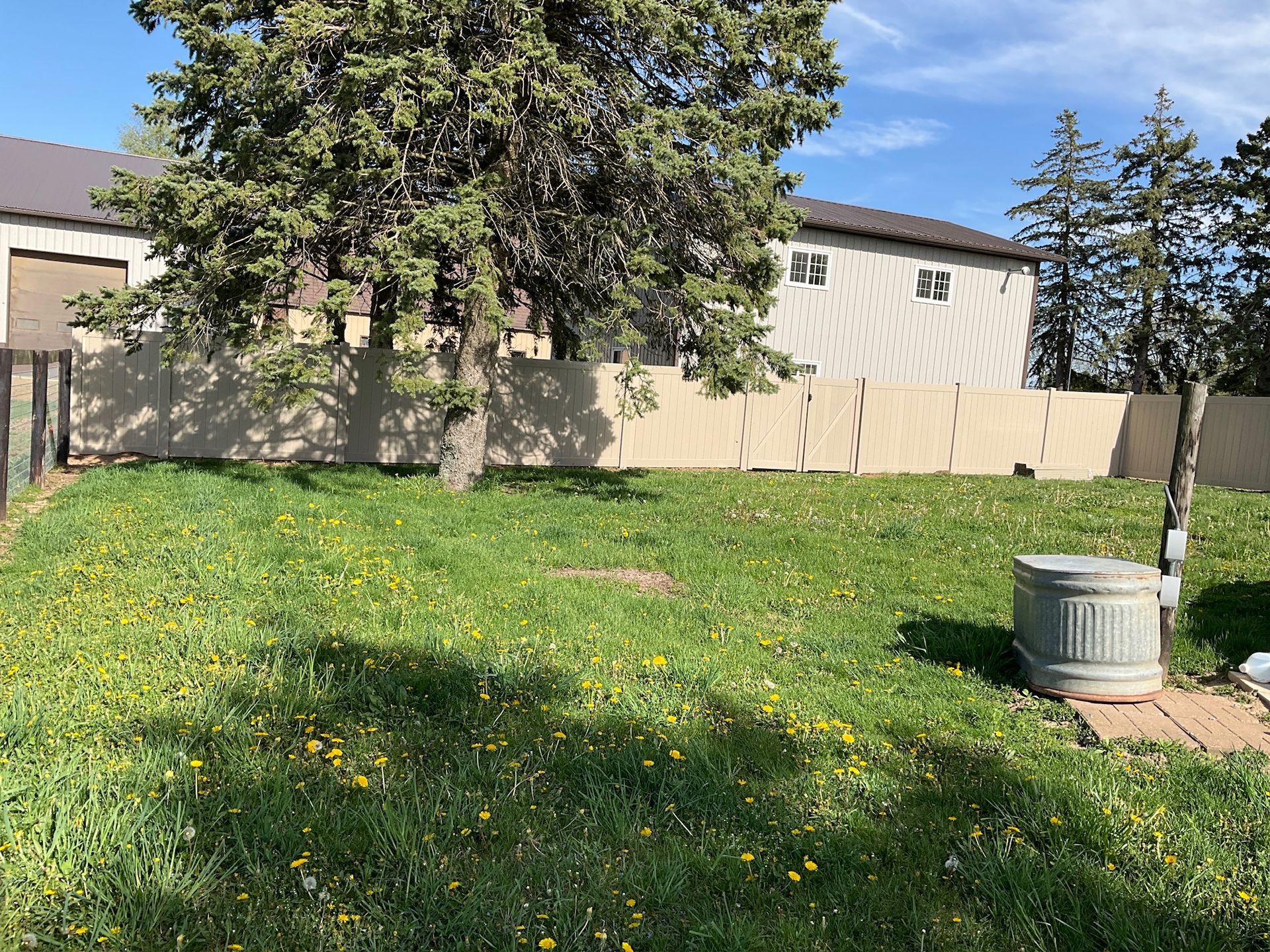 Green lawn with yellow flowers, tan fence, tree, metal trash can, and buildings in the background.