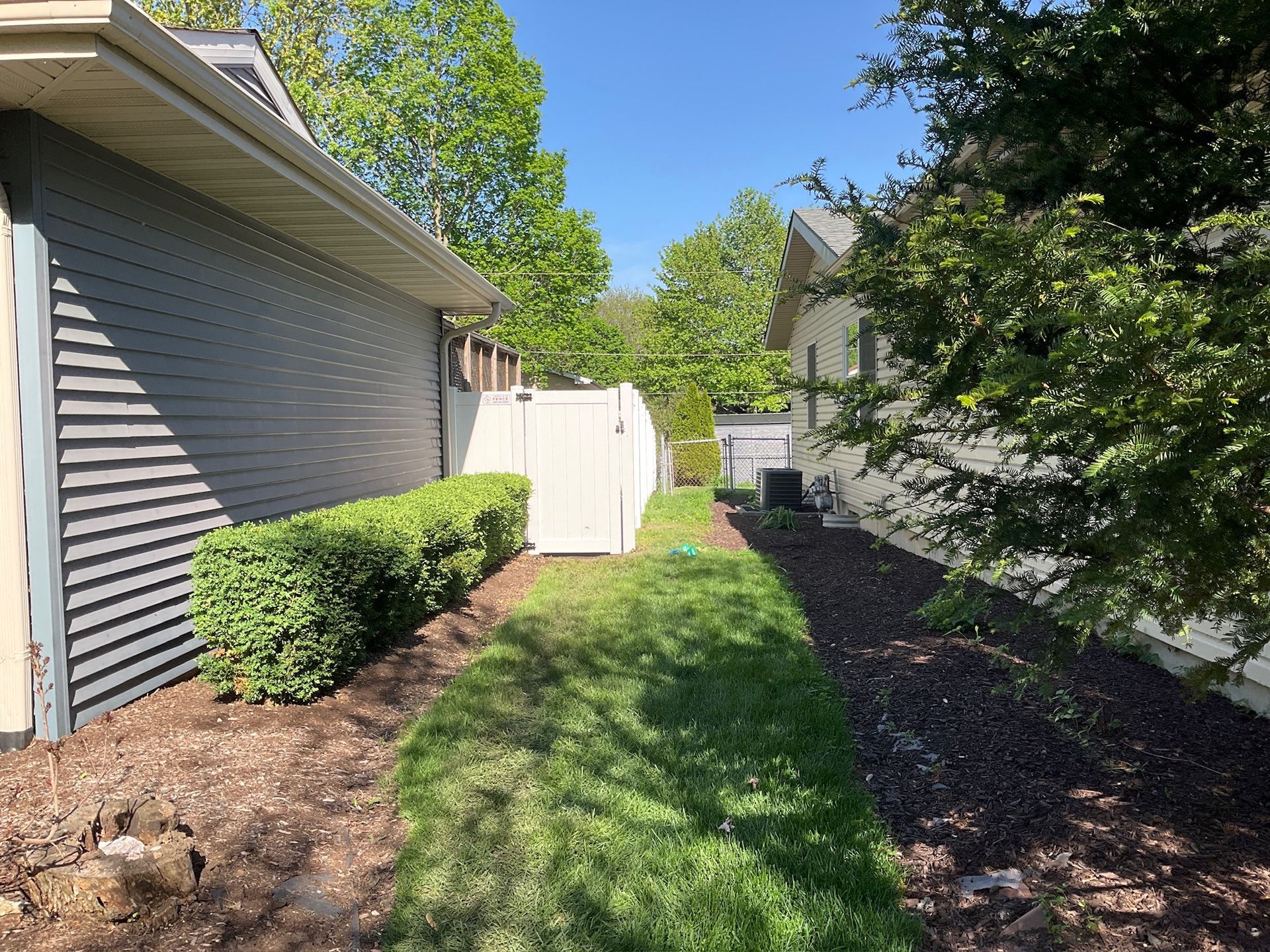 Side yard with grass, bushes, mulch, and a white fence between two houses.