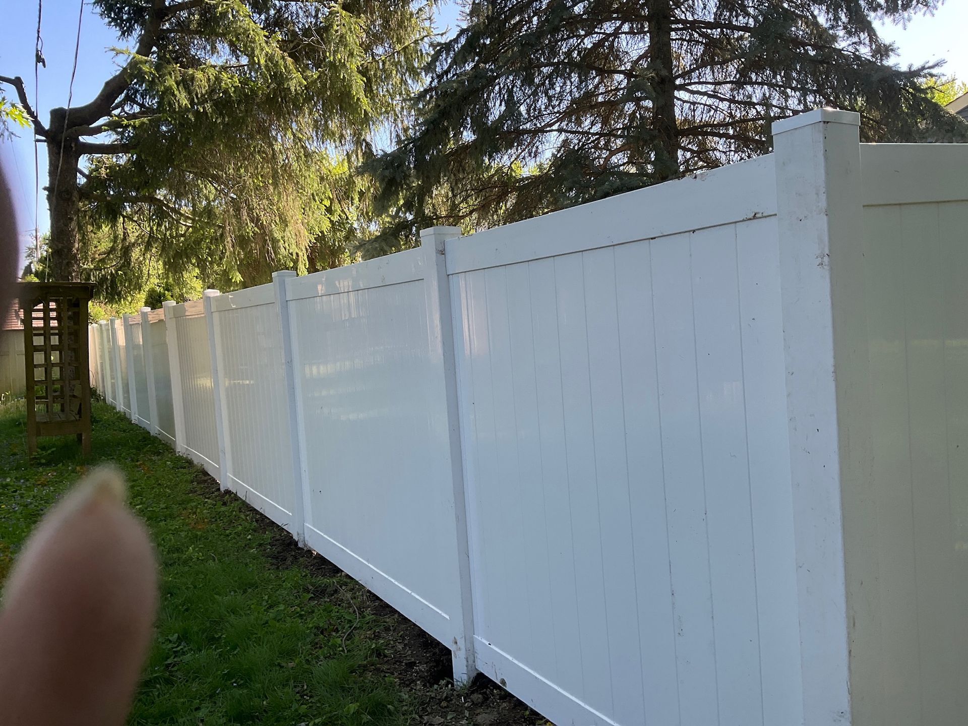 White vinyl fence in a grassy yard, trees in the background, sunny day.