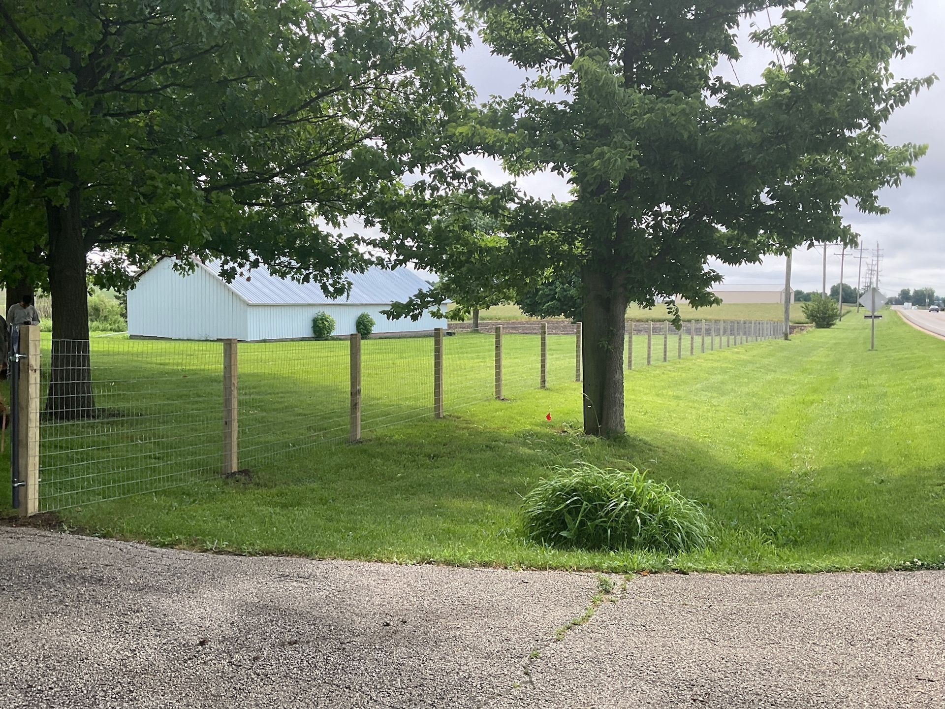 Green grassy yard with a wire fence, trees, and a white barn under a cloudy sky.