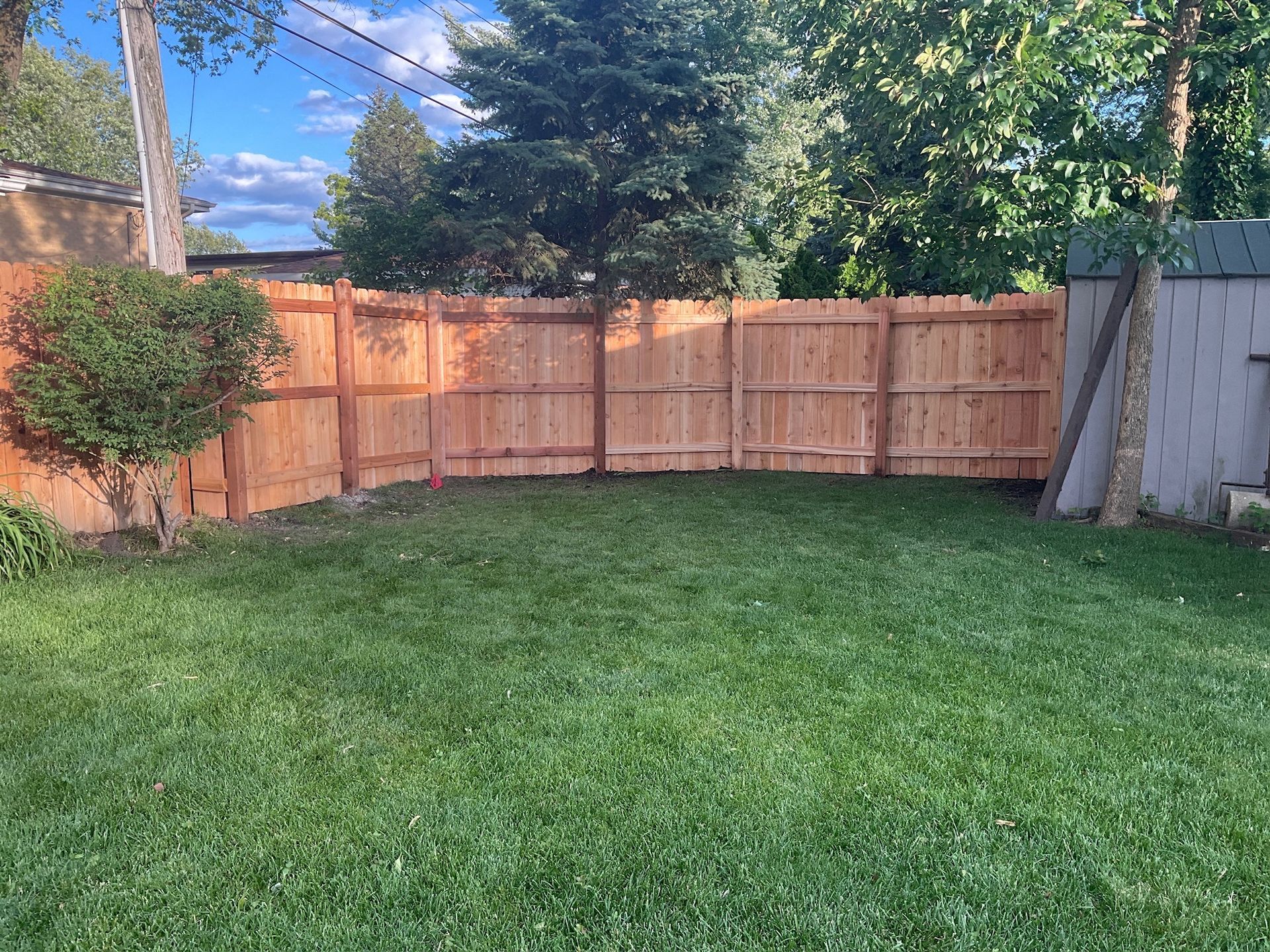 Lush green backyard with a new wooden fence, a small tree, and a shed.