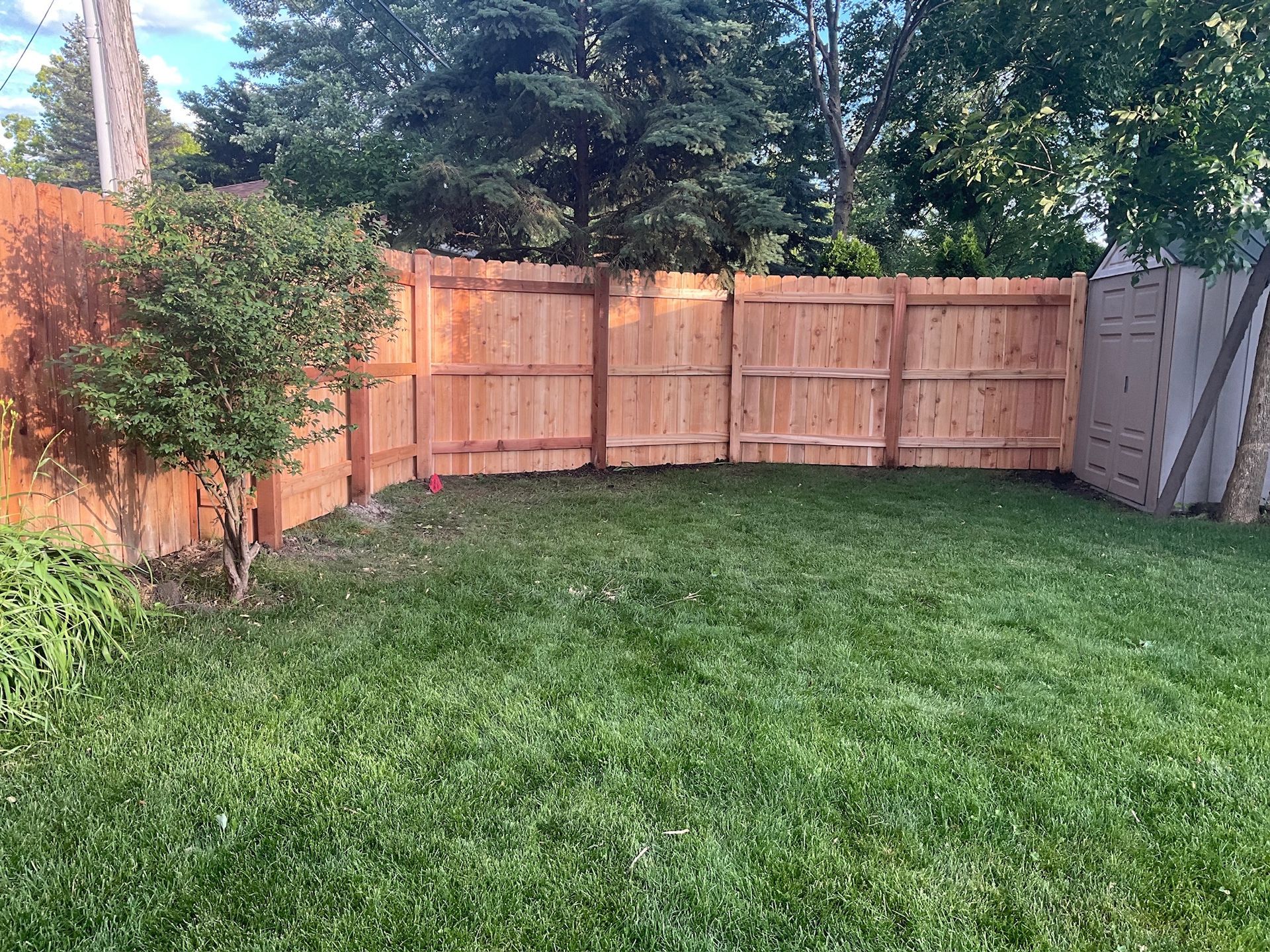 A backyard with a wooden fence and green grass.