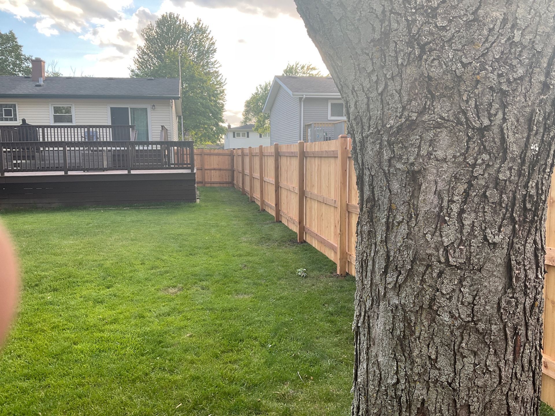 Backyard with green grass, wooden fence, and a deck on the left. A tree trunk is in the foreground.