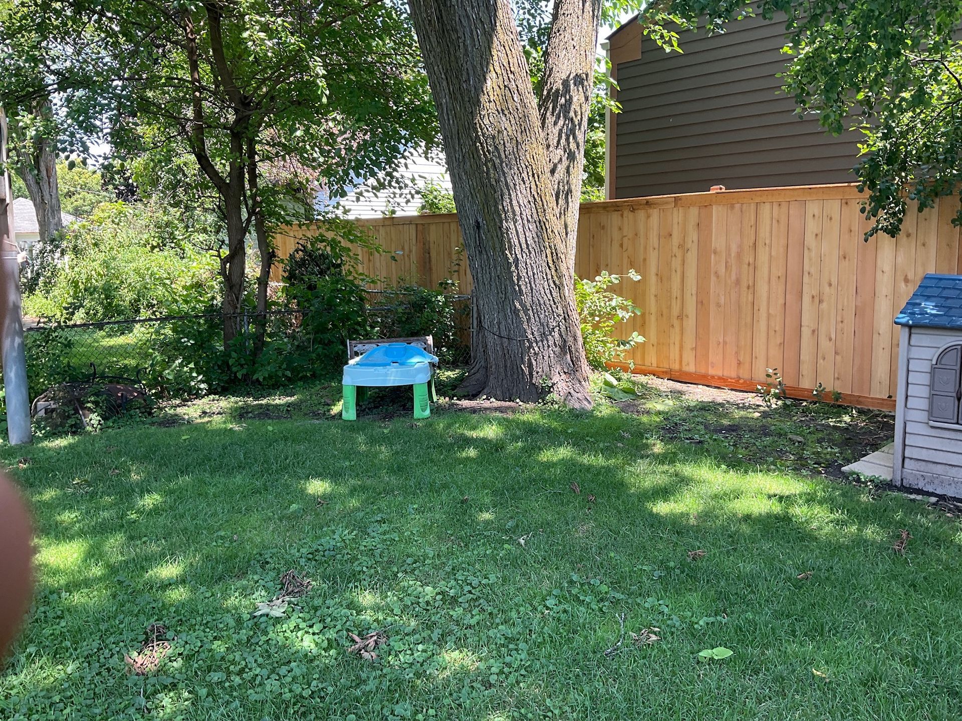 Backyard with a wooden fence, green grass, a tree, and a blue toy car.