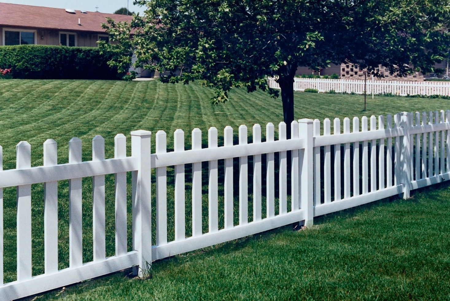 White picket fence surrounding a green lawn with a tree in the background. A house is visible.