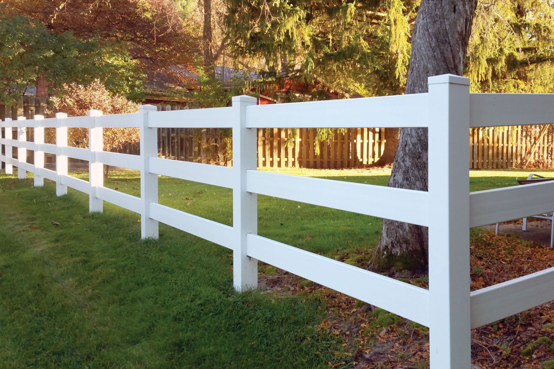 White three-rail fence in a grassy yard, with a tree and other foliage in the background.
