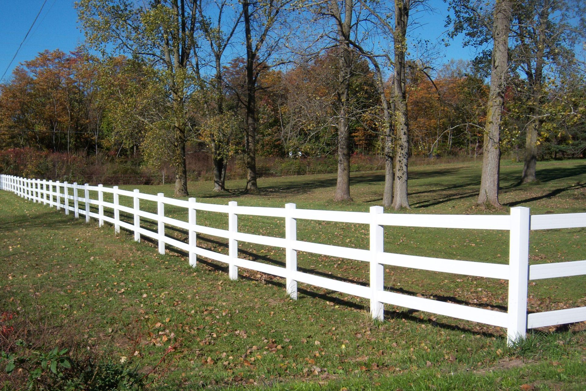 White picket fence in a grassy field, trees in the background, fall foliage.