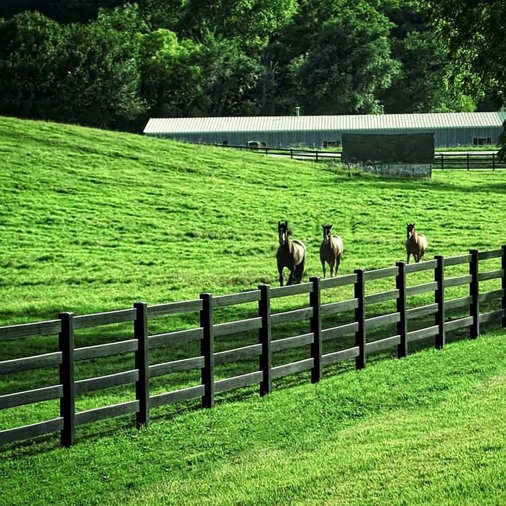 Three horses graze in a green pasture behind a black fence, with a barn in the background.