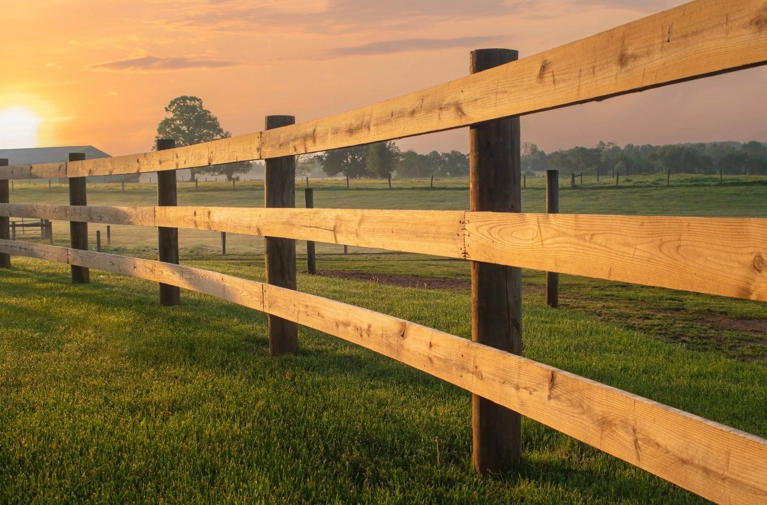 Wooden fence in a field, bathed in golden sunlight. The sun is setting behind a distant tree and barn.