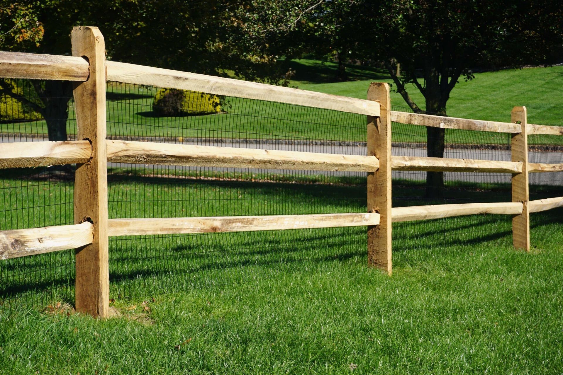 Wooden split-rail fence on a green lawn; trees and shrubs in the background.
