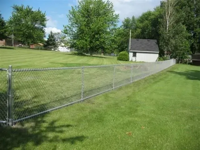 Chain-link fence borders a grassy yard, small building and trees in the background.