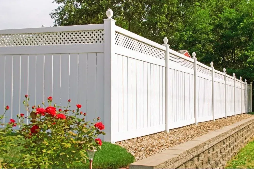 White vinyl fence with lattice top, red roses, and a small shrub.