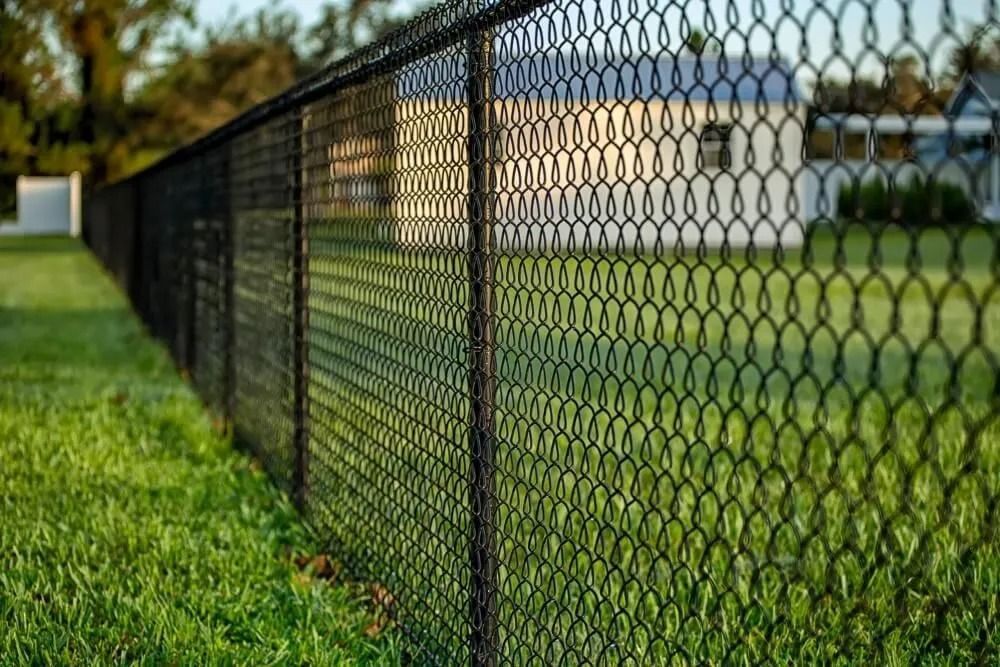 Black chain-link fence on green grass, with a house and trees in the background.