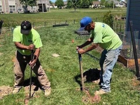 Two men in neon shirts digging holes in a grassy backyard.