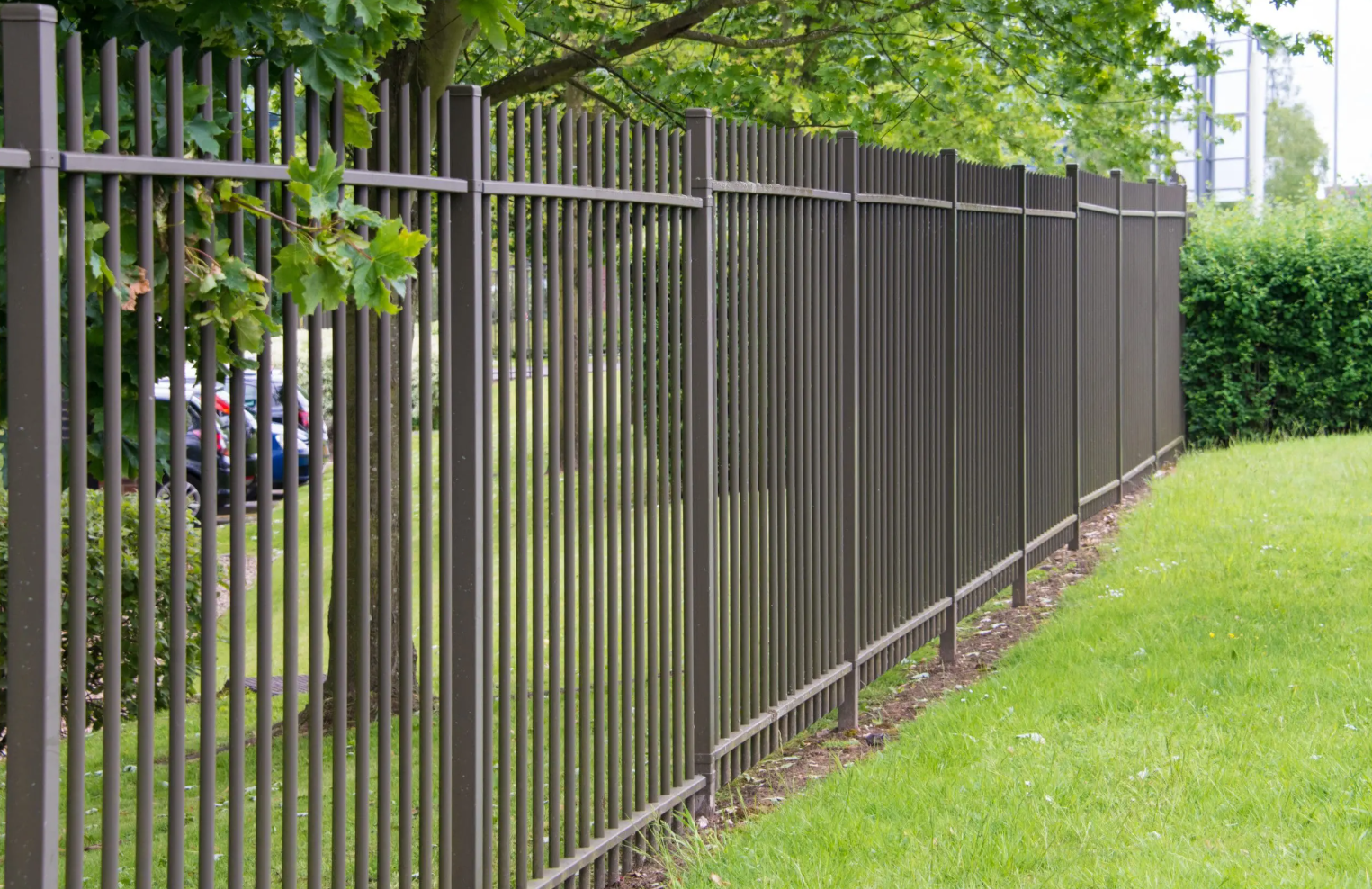 Brown metal fence bordering a green lawn, trees, and buildings in the background.