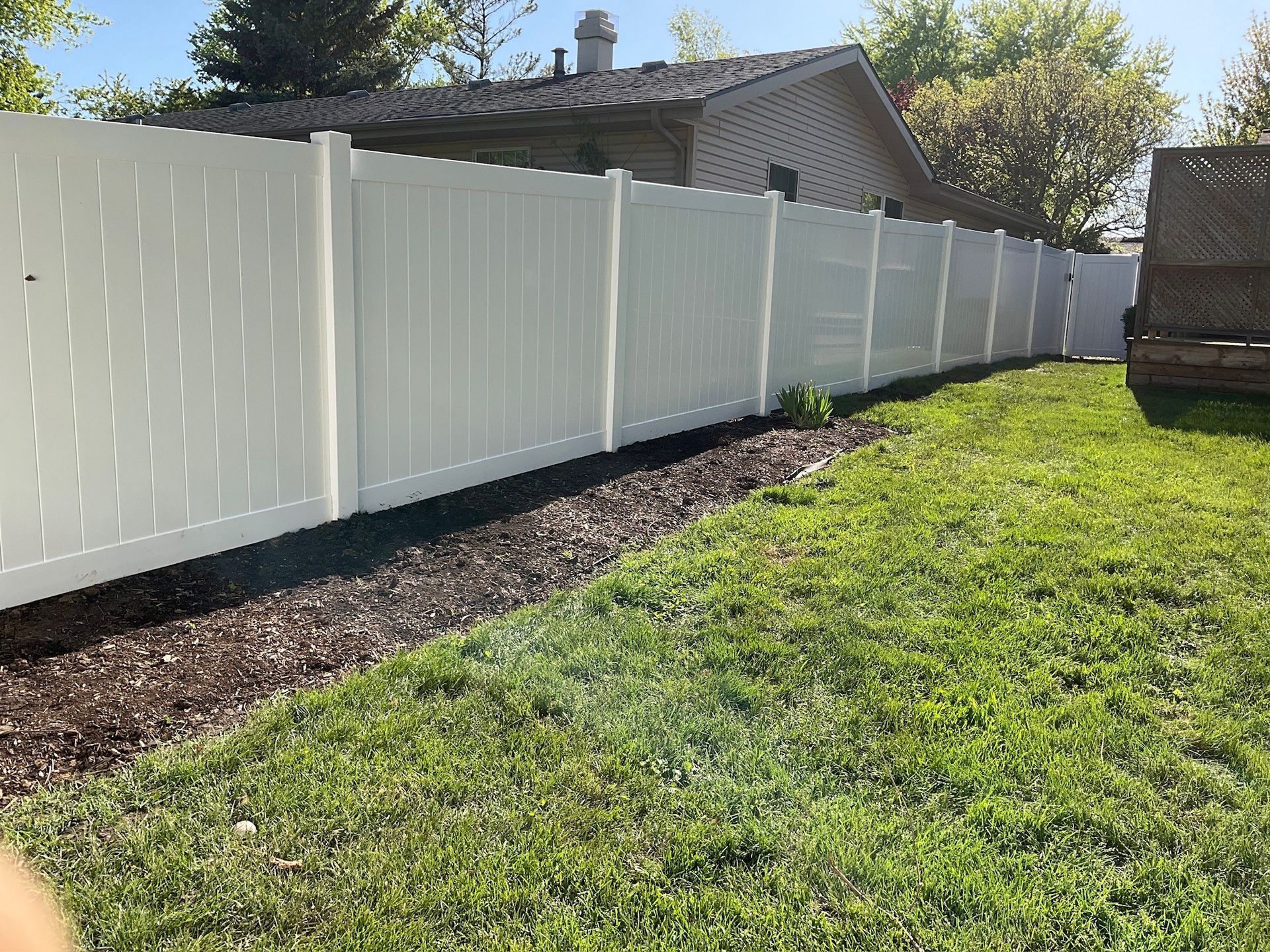 White vinyl fence borders a green grassy yard with dark mulch.