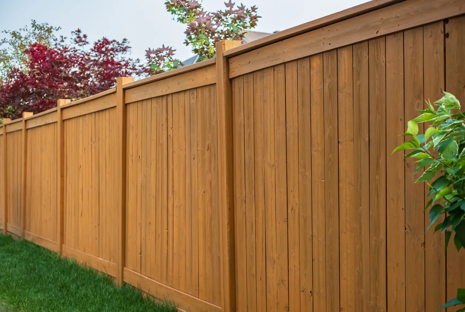 Wooden privacy fence, stained brown, surrounds a grassy yard. Trees with red and green leaves are visible.