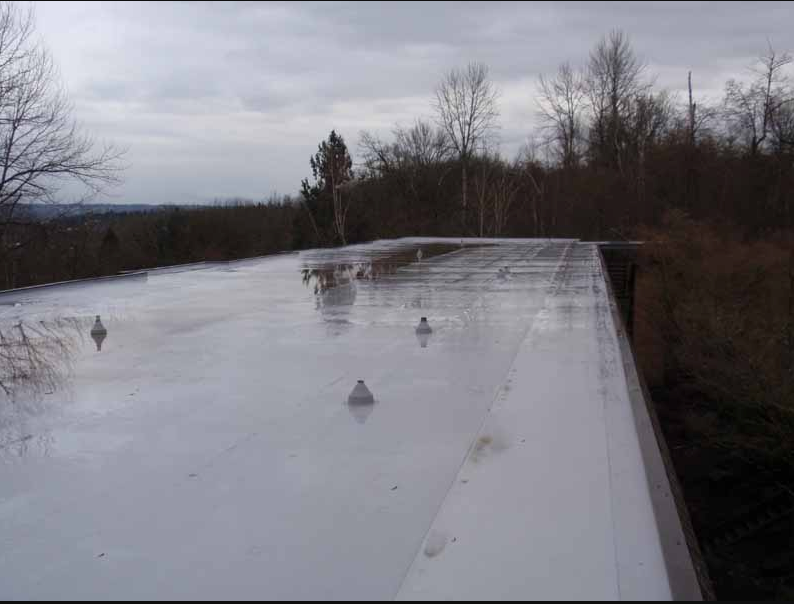 Flat, white roof reflecting overcast sky, with several small, white cones, surrounded by trees.
