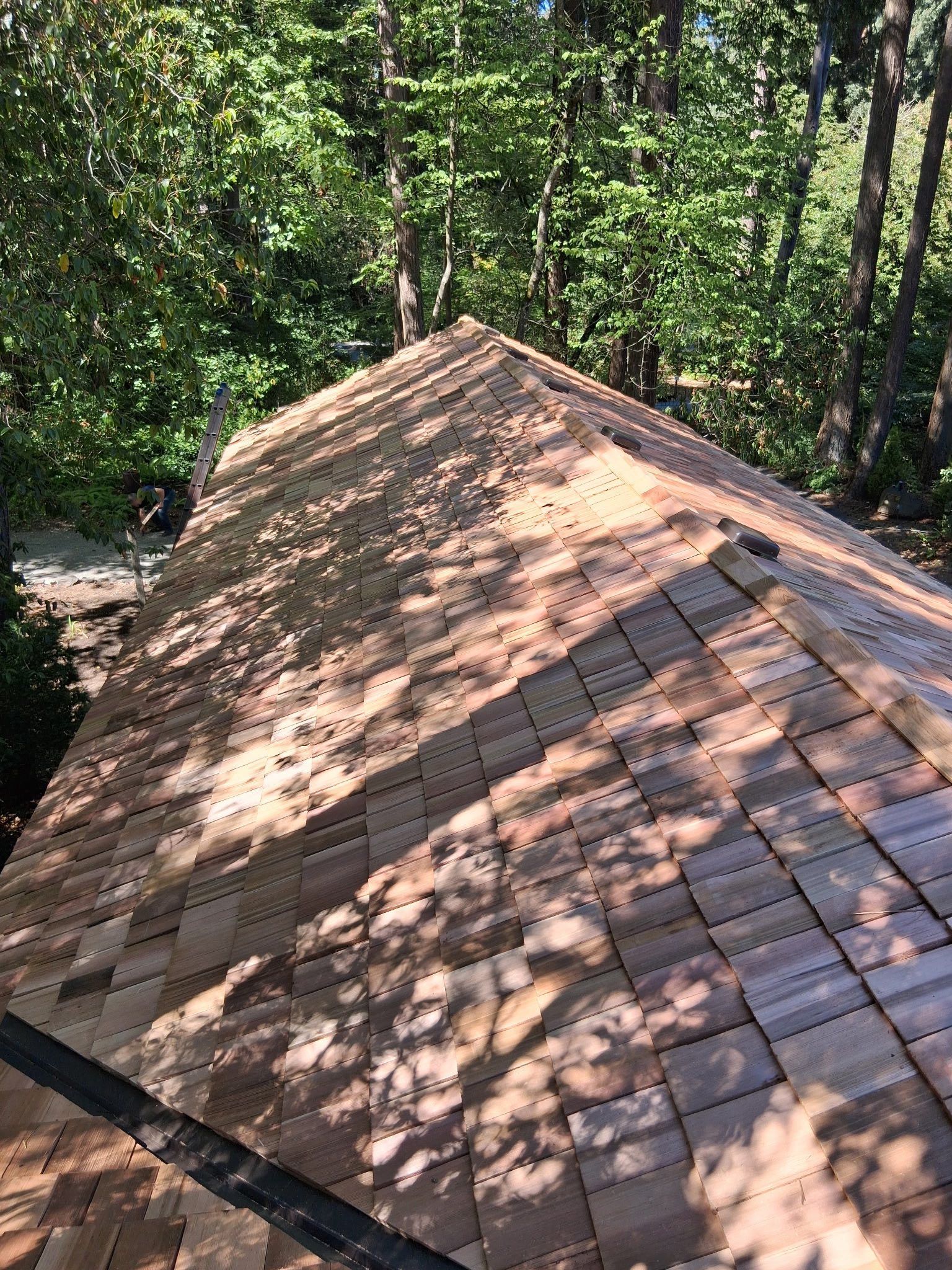 Wooden shingle roof, angled view; sunlight filters through surrounding trees.