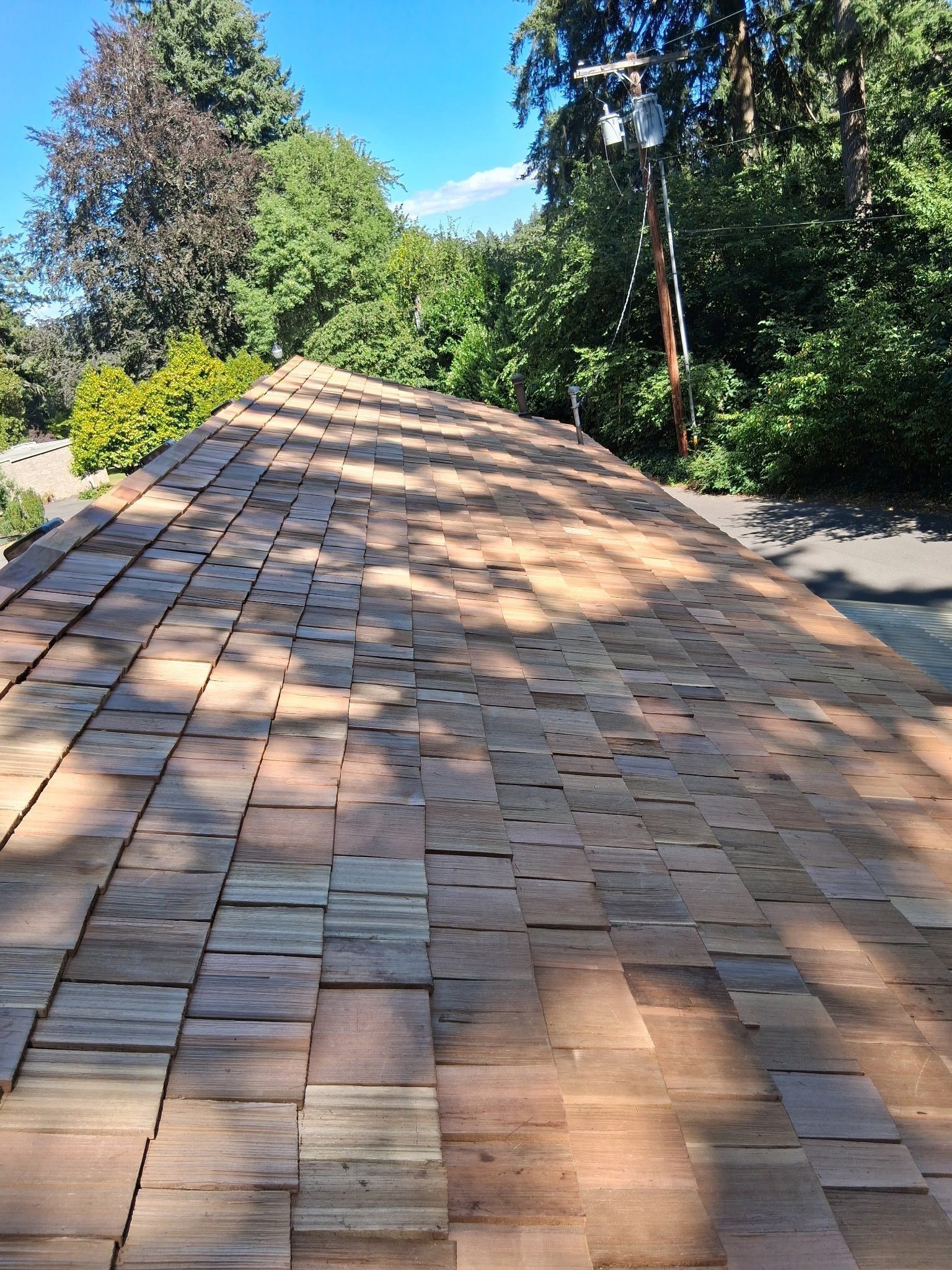 Wooden shingle roof under a blue sky, with trees in the background.