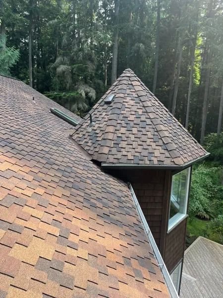 Roof with brown shingles, an angled tower, and a backdrop of green trees.