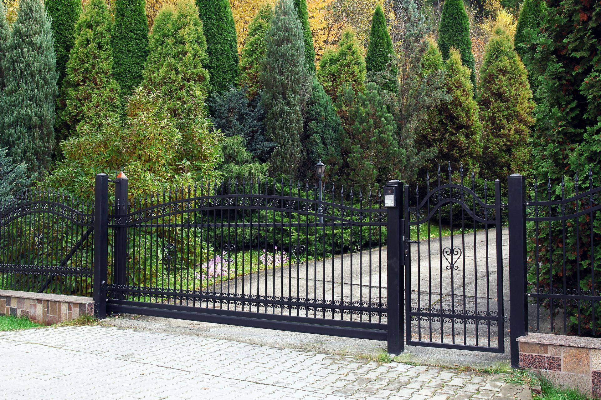 Black wrought iron gate and fence with trees in the background.