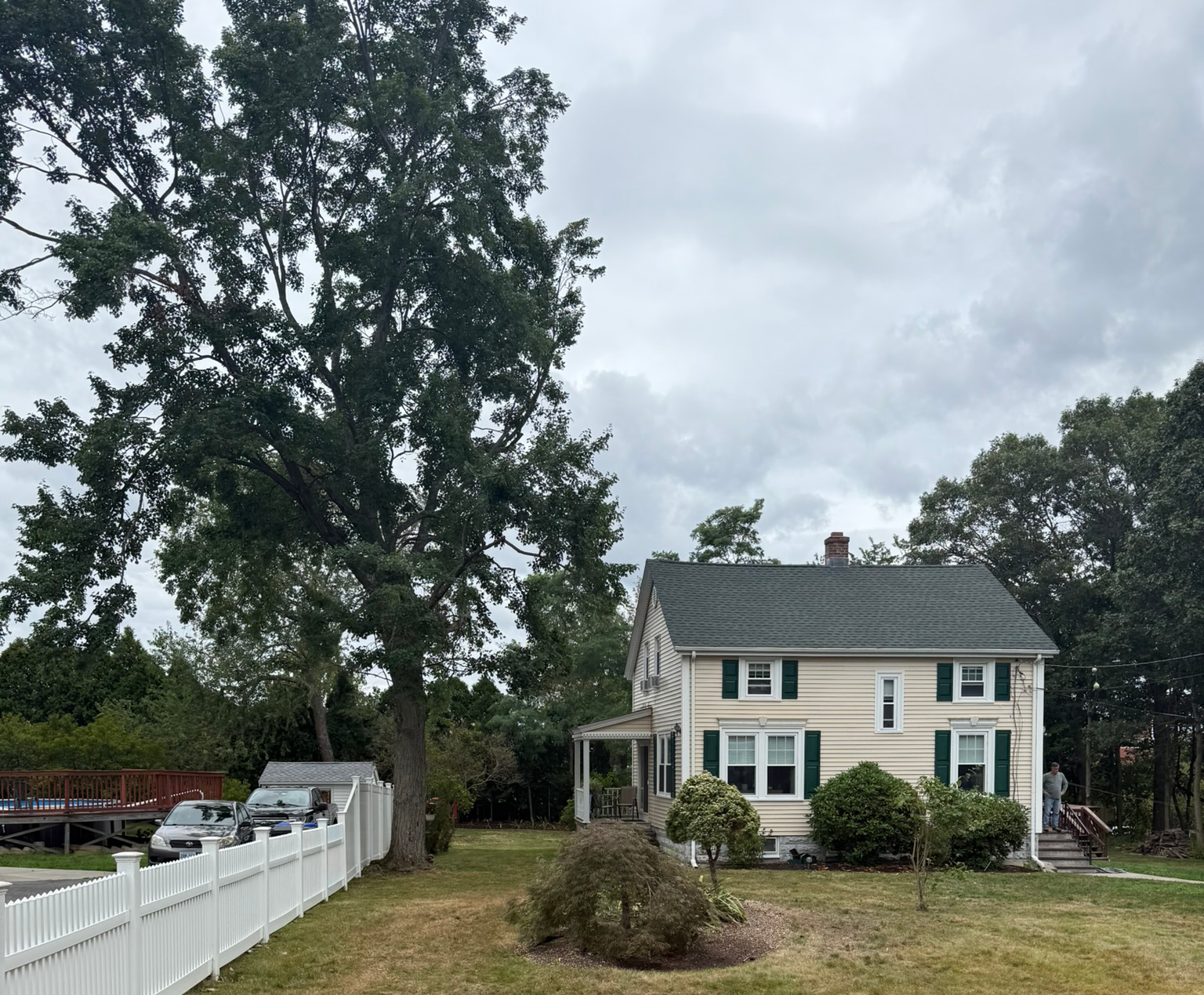 Top Climber Tree Service LLC