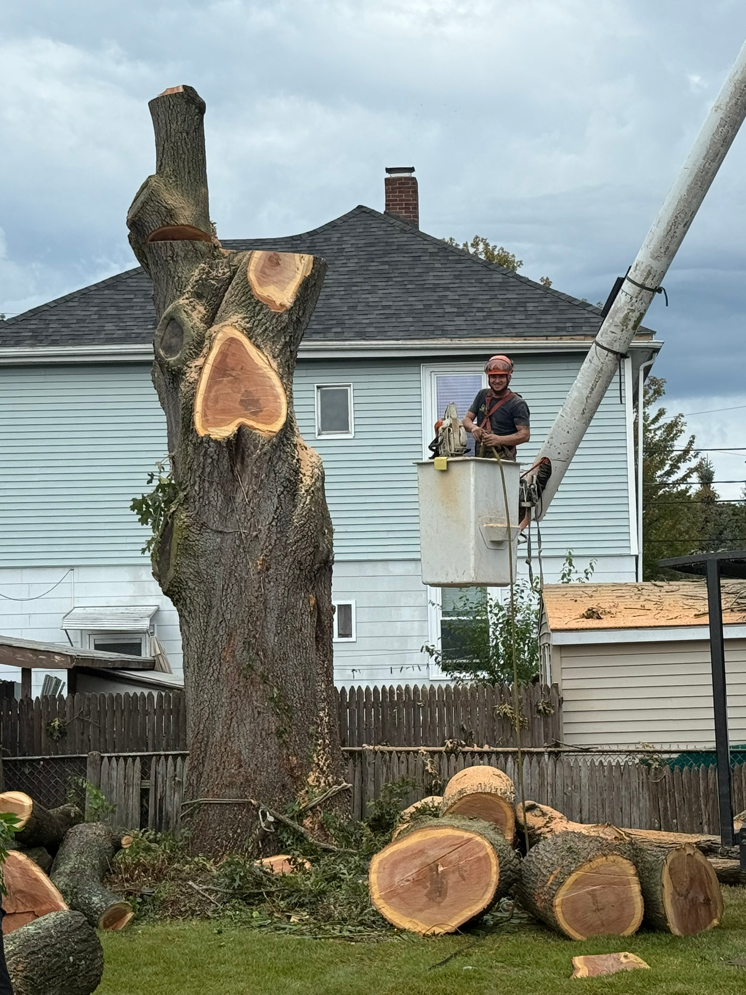 Top Climber Tree Service LLC