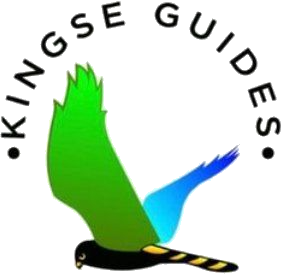 Kingse Guide