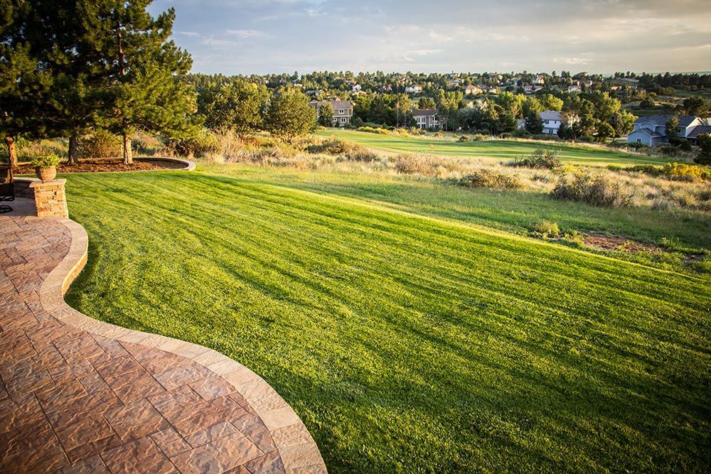 Plant Life, Maintenance, and Xeriscape