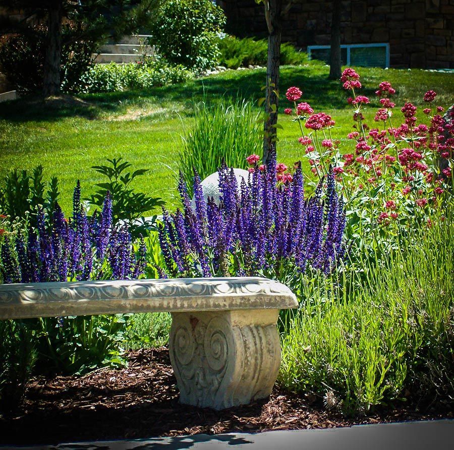 Plant Life, Maintenance, and Xeriscape