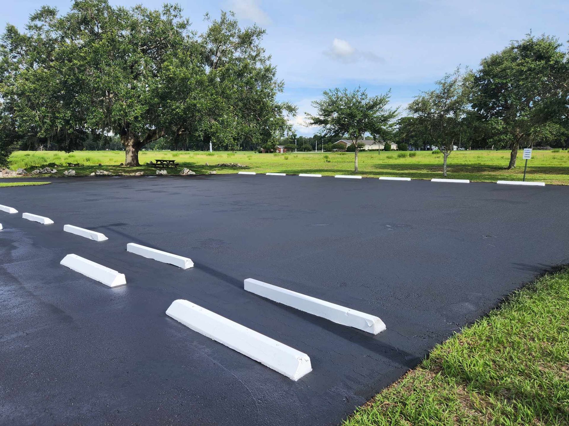 A parking lot with white curbs and a tree in the background