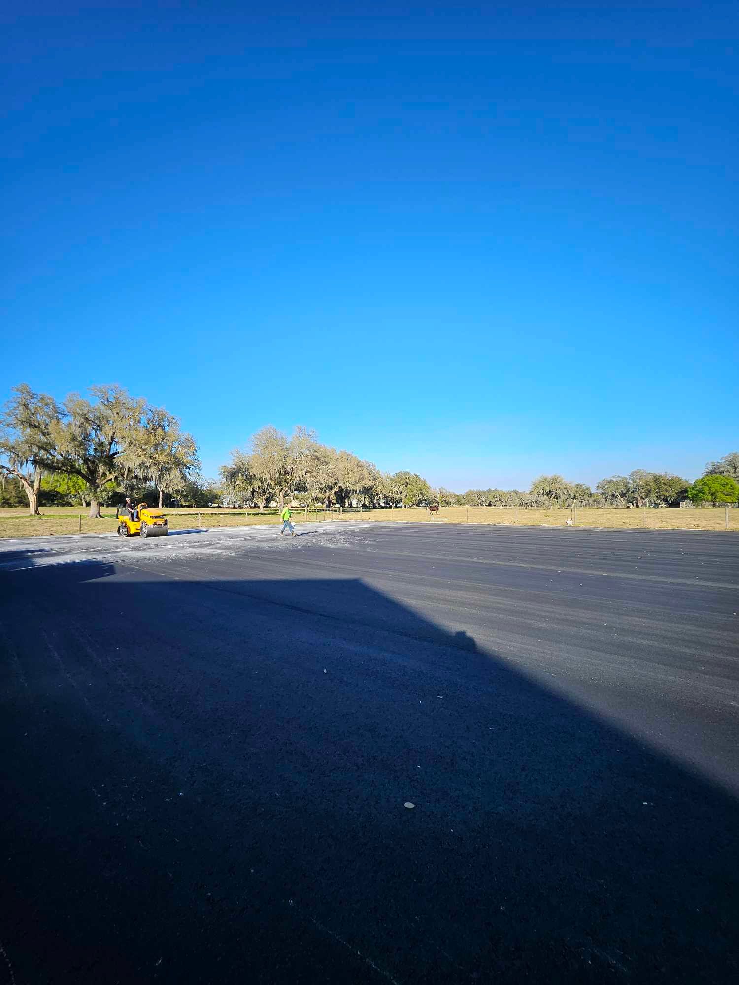 A large empty parking lot with trees 