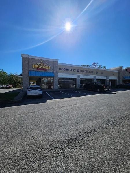 A strip mall with a bright sun overhead. Businesses include a restaurant and dog resort. A few cars parked nearby.