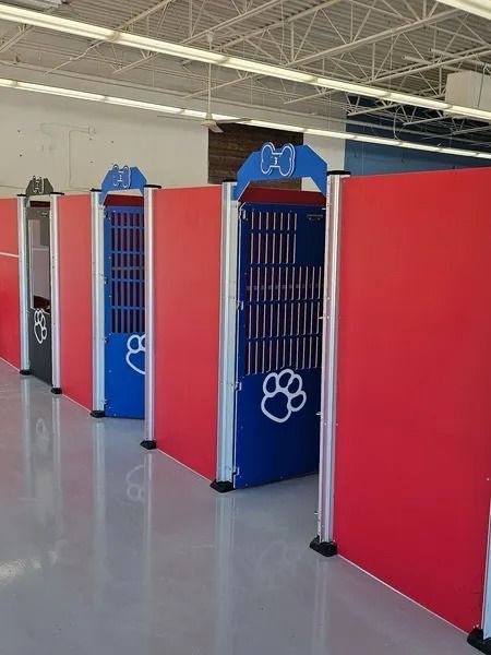 Dog boarding kennels with red walls and blue doors, paw print designs.