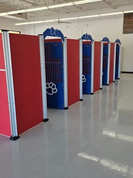 Row of red and blue pet grooming stations with paw print design in a bright room.