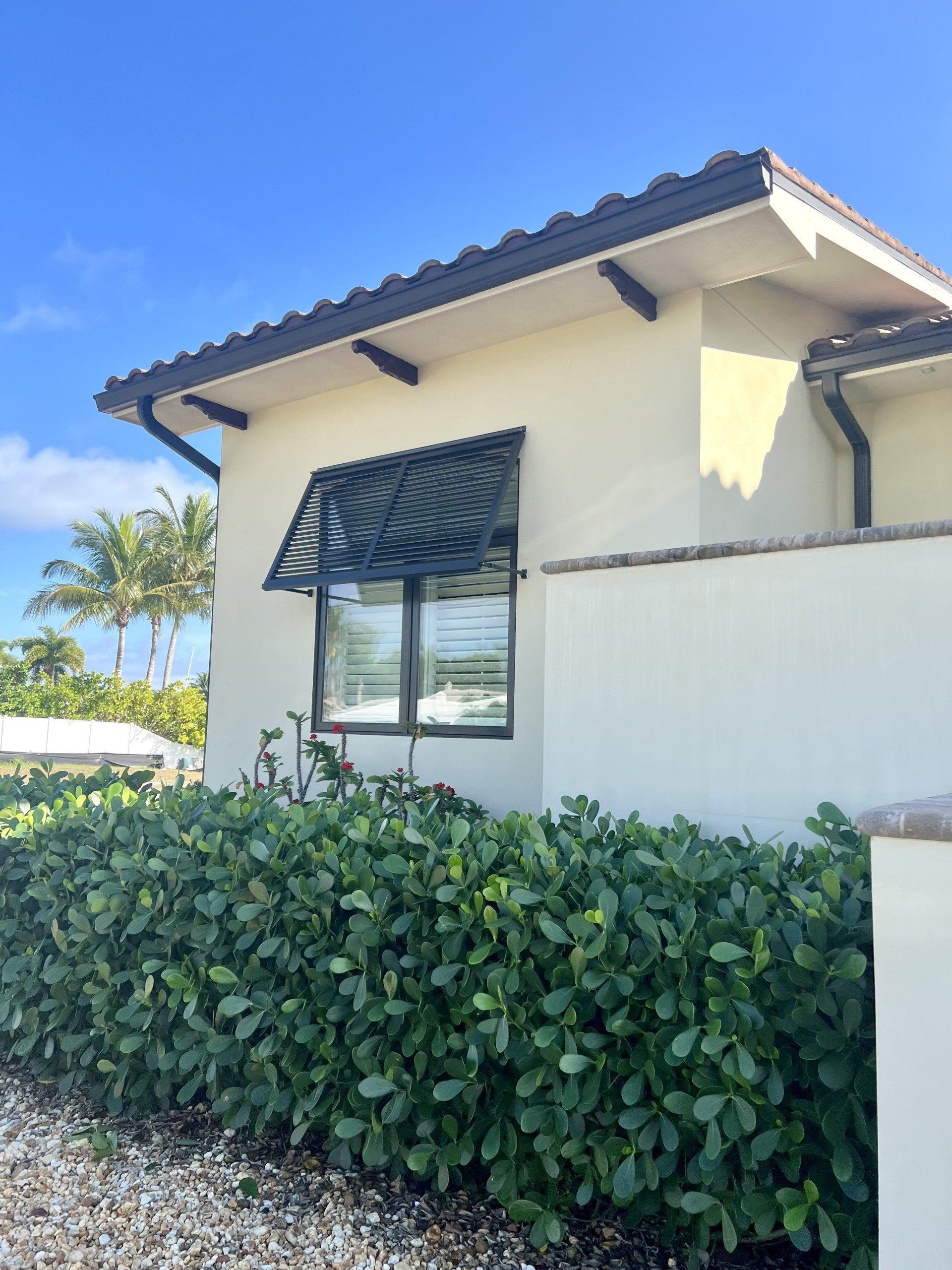 Bahamas and Colonials