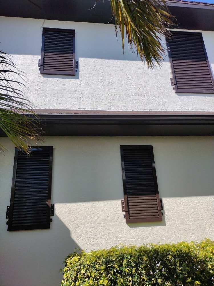 A white house with black shutters on the windows and a palm tree in the background