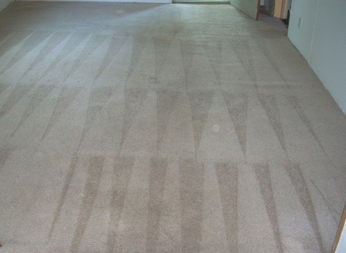 Carpet cleaning