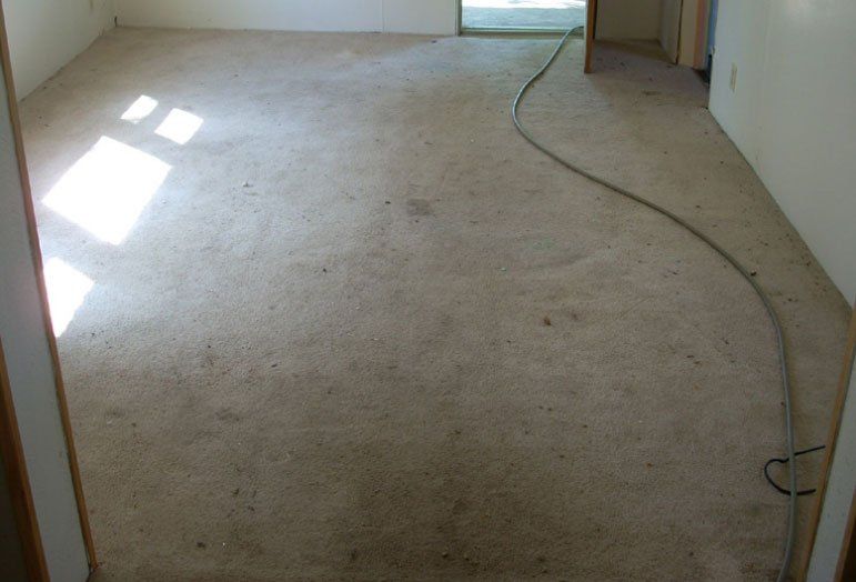 Carpet cleaning
