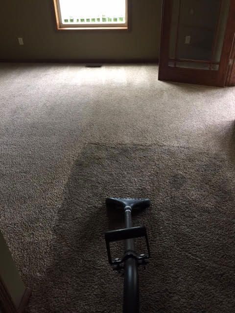 Carpet cleaning
