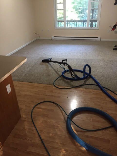 Carpet cleaning
