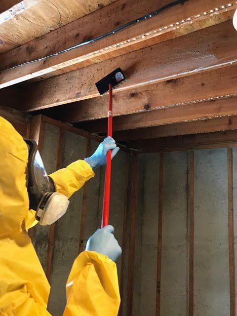 Mold cleaning