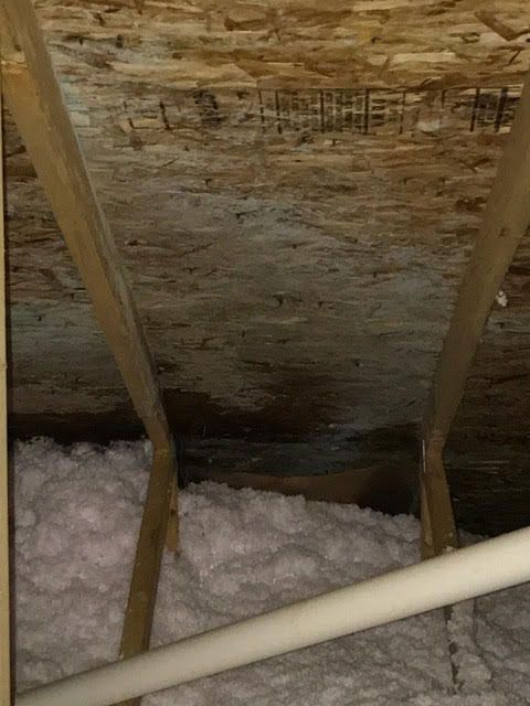 Mold removal