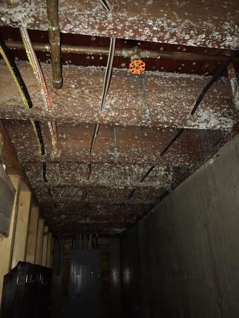 Mold removal
