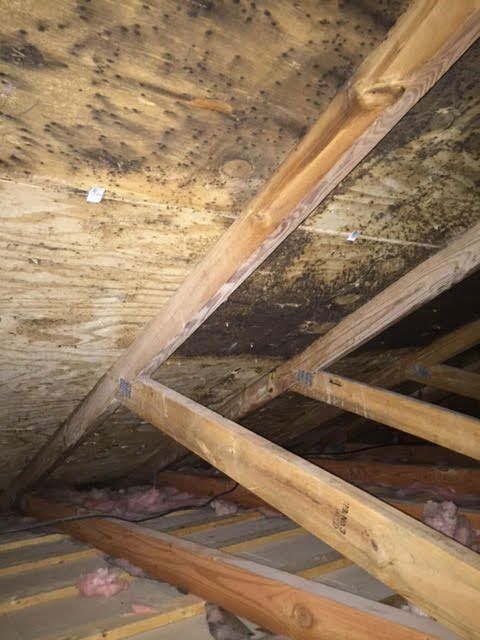 Water damage