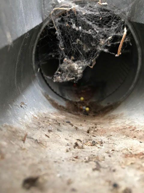 Duct cleaning