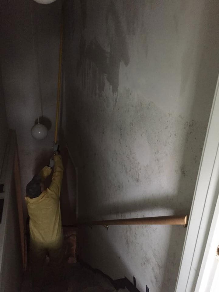 Removing molds