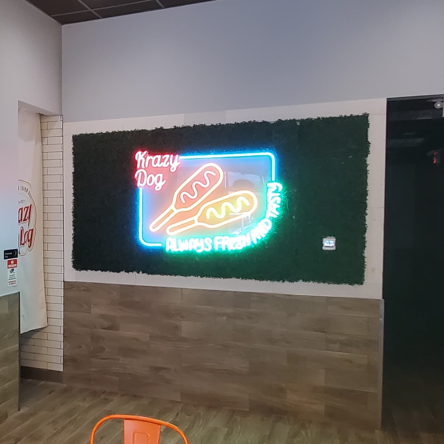 A neon sign on a wall that says crazy dog