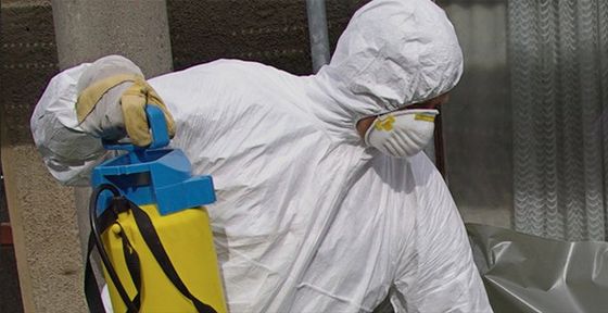 Asbestos Removal Services by Our Professionals